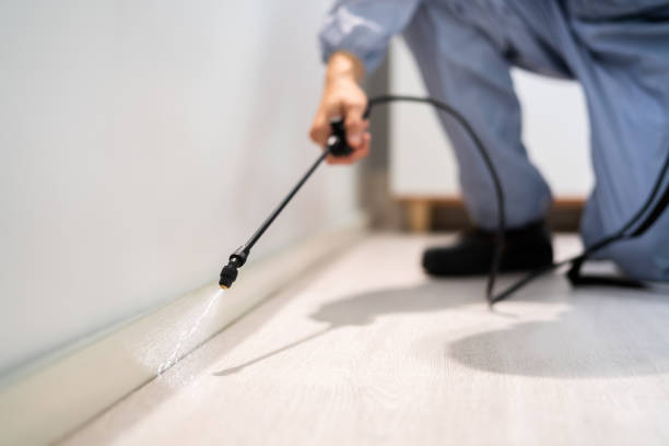 Professional exterminator conducting IPM assessment in Kenton